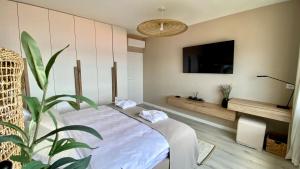 Up&Above ,New Luxury Apt, Steps from Beach and Old Town