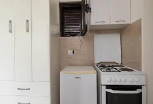 Lazarevic Apartments