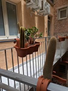 Casa Vella Apartment