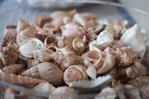 Appartamento Il Mirto img35