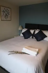 Swan Retreat - Thorn Falcon