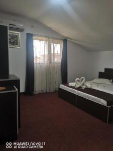 Casa RAZVAN EFORIE NORD