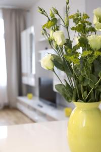 Leon Suite Apartments