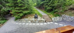 Drevenica Čertovica