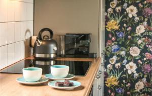 Nice Apartment In Schoonloo With Wifi