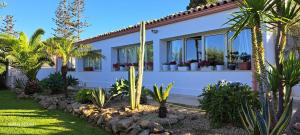 CasaSicula - Artemis House