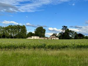 Maisons de vacances L'Eperonnette, cozy house with swimming pool, surrounded by vineyard, near St Emilion : photos des chambres