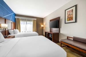 Queen Suite room in Comfort Suites Omaha East-Council Bluffs