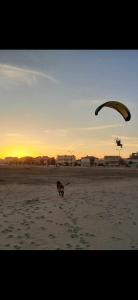 Repos, nature et famille - 3hvězdičkové hotely ve městě Narbonne-Plage