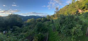 Maisons de vacances La ferme de Quinette : photos des chambres