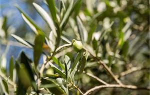 2 Bedroom Awesome Apartment In Lucija