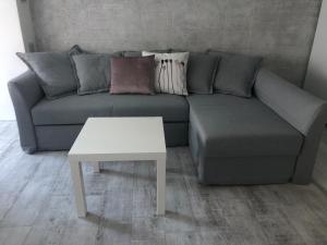 Cozy and modern apartment Krasno selo, free parking