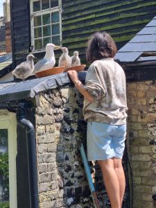 First and Last Youth Hostel