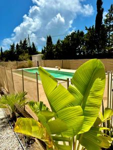 Agradable casa de campo con piscina en la Barrosa
