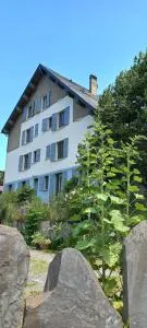 Chalet du Doumet - Appart LUZ centre - parking et garage individuel ferme - draps et serviettes inclus - 皮埃尔菲特－内斯塔拉
