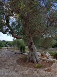 Trullo Giusy