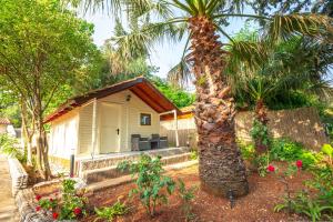 Bungalow with Sea View room in Lodges Shen Nikolla