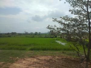 WHY NOT guesthouse - Ubytování bez kategorie ve městě Tissamaharama