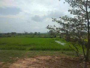 WHY NOT guesthouse - Dematapelessa