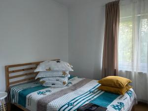 Pridvorul lui Viorel