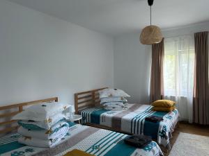 Pridvorul lui Viorel