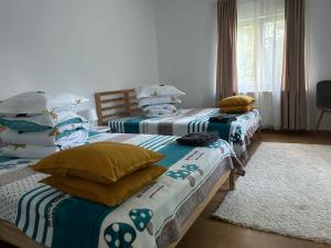 Pridvorul lui Viorel