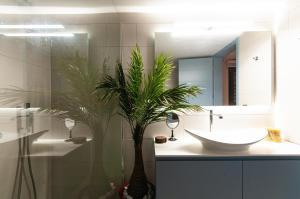 Boutique apartments Myesis