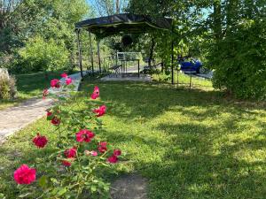 Pridvorul lui Viorel