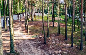 Lovely Home In Sulnowo With Kitchen