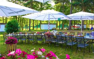 Lovely Home In Sulnowo With Kitchen