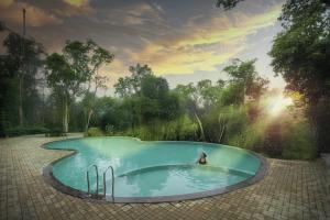 Crystal Kuruva Nature Resort & Spa