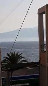 Studio beach apartment in center