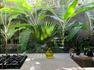 Villa Kaan in Holistika, Tulum - Private Pool, Garden & Rooftop