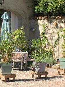 Maisons d'hotes La Villa de Lise : photos des chambres
