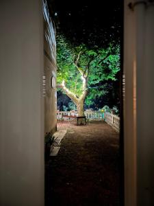 Maisons d'hotes La Villa de Lise : photos des chambres