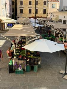 Lux Sea Appt Piran