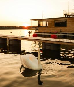 Domek na wodzie - Houseboat -sauna, taras na dachu, dwie sypialnie