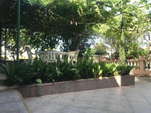 Apartment by the Church on Olib