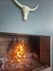 Starfish Beach Villa