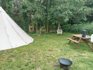 Tentes de luxe tipi insolite 1 a 4 personnes : photos des chambres