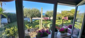 CasaSicula - Artemis House