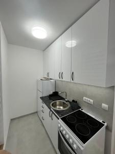 Studio apartman Vuckovic
