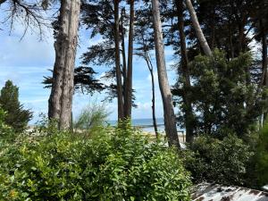 Campings Mobilhomes Quiberon Camping Conguel - Bord de Mer : Bungalow - Vue sur Mer 