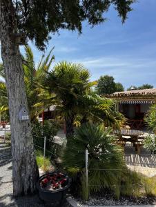 Campings Camping La Chenaie : photos des chambres