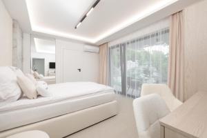 Aqua Bluemica ADULTS ONLY