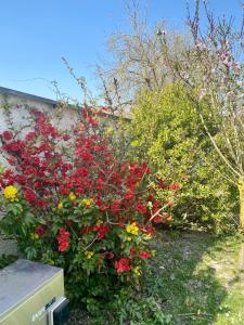 Maisons de vacances maison cosy et chic : photos des chambres