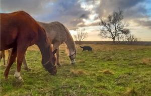 2 Bedroom Lovely Home In Zelazo