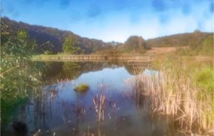 2 Bedroom Lovely Home In Zelazo