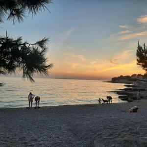 Apartman Mare 