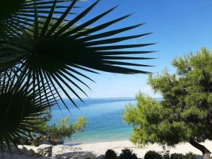 Apartman Mare BP